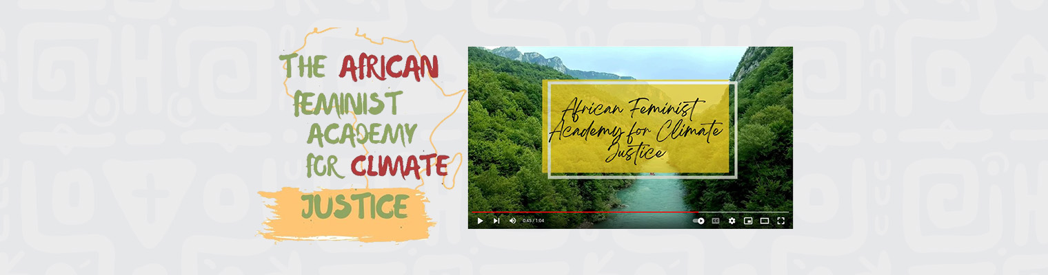 FEMNET | The African Women's Development and Communication Network