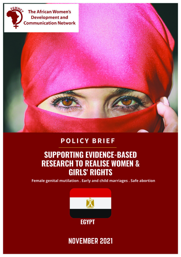 Policy Brief: Supporting evidence-based research to realize women & girls' rights - Egypt