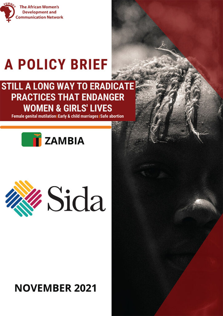 Policy Brief: Still a long way to eradicate practices that endanger women & girls' lives - Zambia