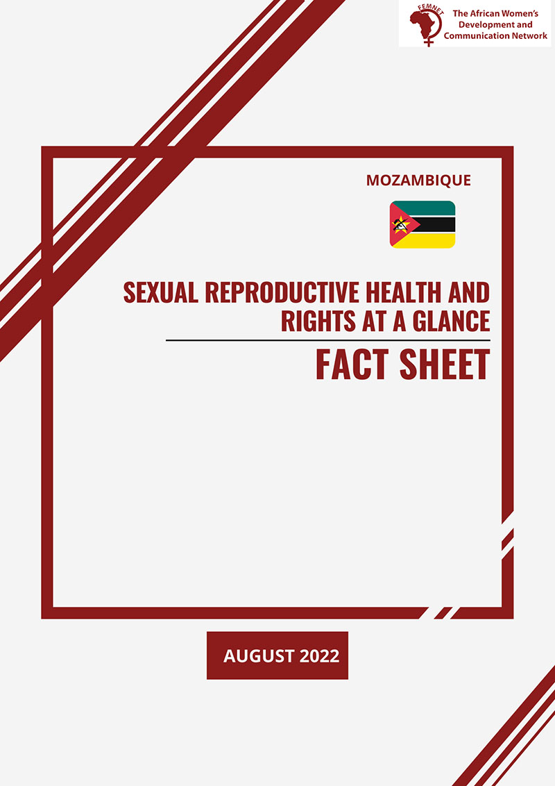 Factsheet: Sexual reproductive health and rights at a glance – Mozambique